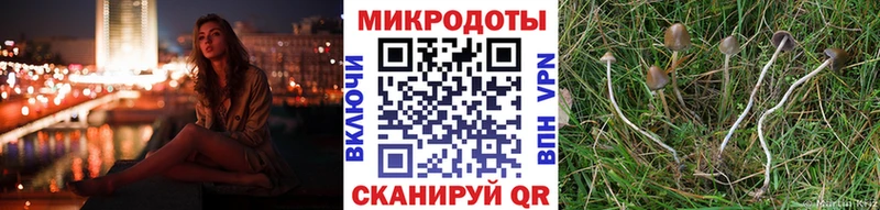 Галлюциногенные грибы Cubensis  Ачинск 